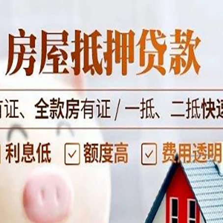金安贷款中介公司新渝启服要的资料