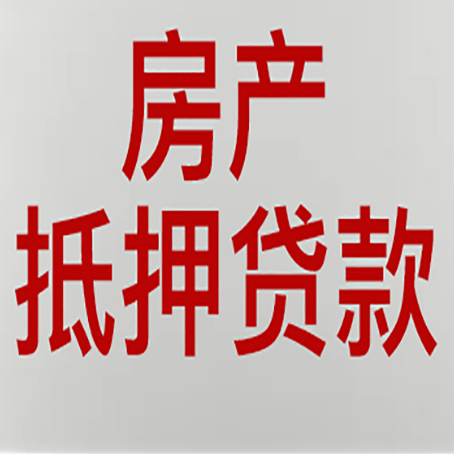 金安贷款中介公司新渝启服收入如何确定